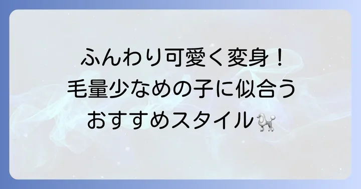 毛量が少ないトイプードルに似合うカットスタイル