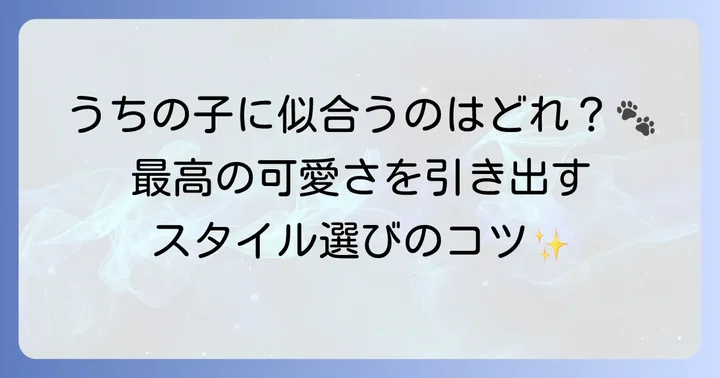 愛犬にぴったりのマズルカットを選ぶコツ