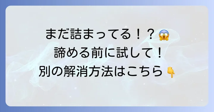 すっぽんを使っても直らない場合の対処法