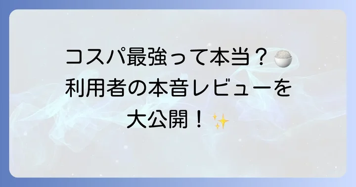 感動の肉と米ランチの口コミと評判