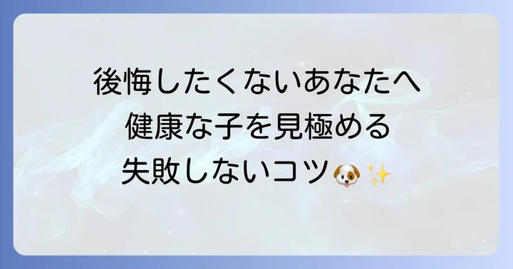 健康な「売れ残り」トイプードルを見つけるコツ