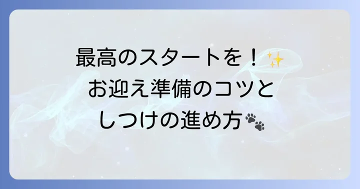 「売れ残り」トイプードルとの新しい生活を始める準備