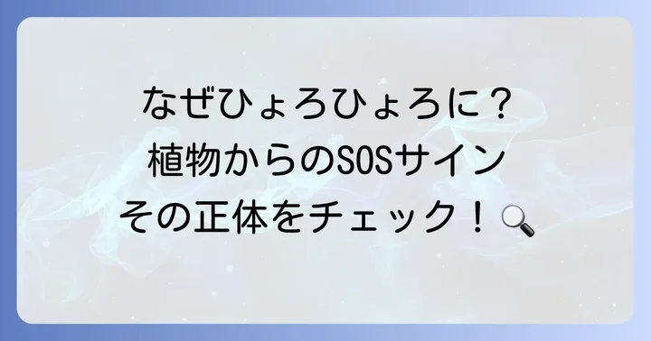 なぜ徒長する？主な原因を徹底解説