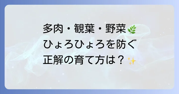 【植物別】徒長を防ぐコツと注意点