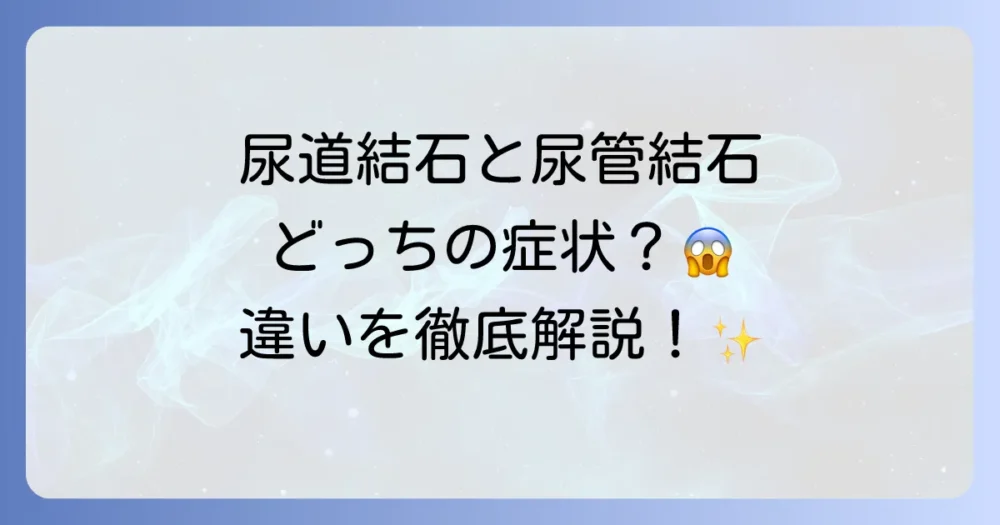 尿道結石と尿管結石の違いを徹底解説！症状から治療まで