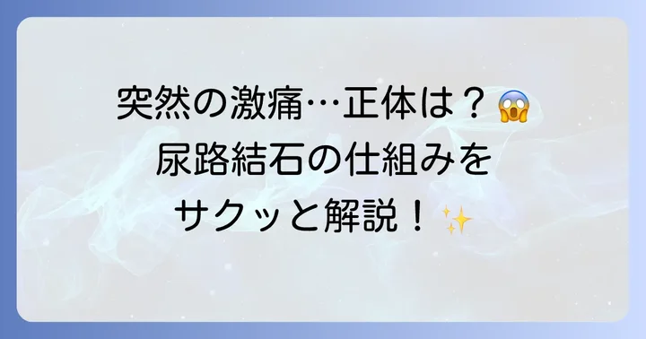 尿路結石とは？まずは全体像を理解しよう
