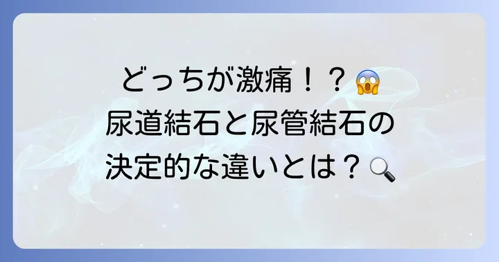 尿道結石と尿管結石、それぞれの特徴と違い