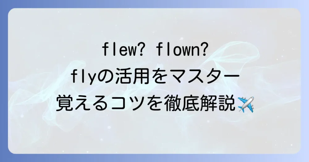 「飛ぶ」の英語の過去形と過去分詞を徹底解説！使い方も例文でマスター