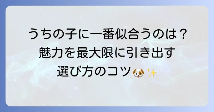 愛犬にぴったりの顔カットを見つけるコツ