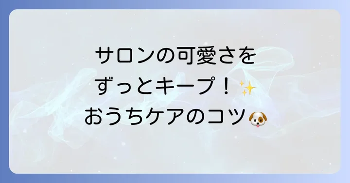 顔カットを長持ちさせるための自宅ケアのコツ
