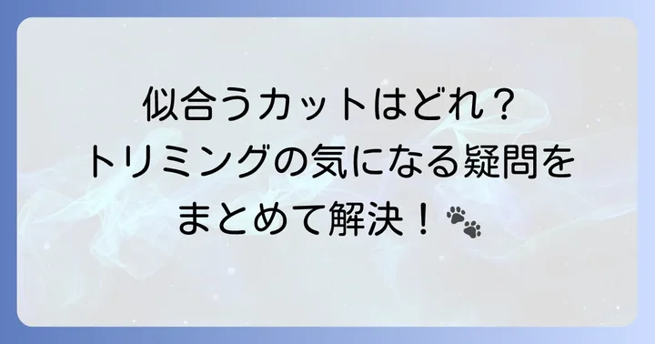 よくある質問