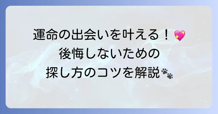 パーティーカラーのトイプードルを探す方法と注意点