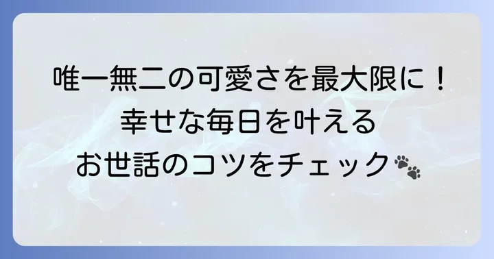 パーティーカラーのトイプードルと暮らす魅力と飼い方のコツ