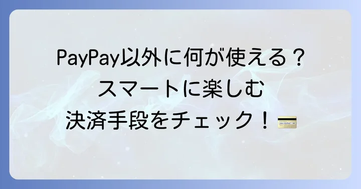 ディズニーランドで利用できるその他の支払い方法