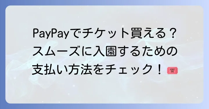 ディズニーランドのチケット購入における支払い方法