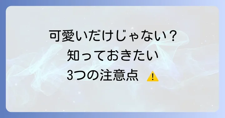 知っておきたいトイプードル柴犬カットのデメリットと注意点