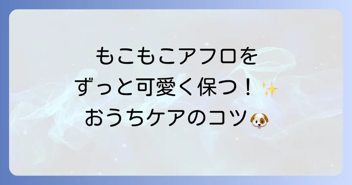 自宅でできる！アフロカットを美しく保つためのお手入れ方法