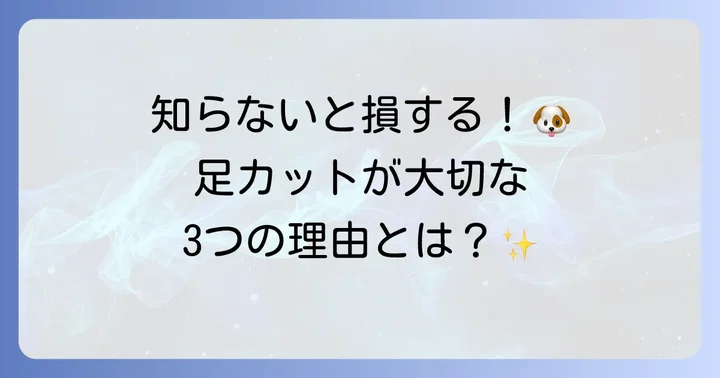 プードルの足カットが大切な理由