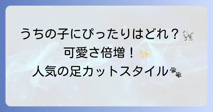 プードルの足カット人気スタイルと特徴