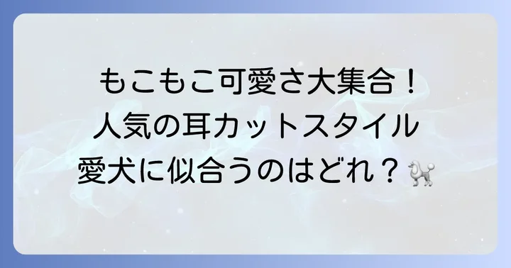 人気のトイプードル耳カットスタイルと特徴