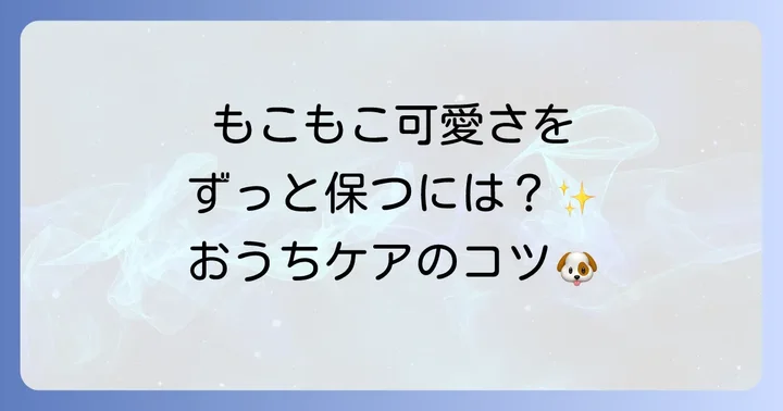 耳カット後の自宅での正しいケア方法