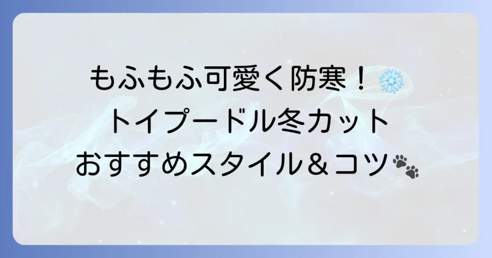 トイプードルの冬のカットにおけるおすすめスタイルと寒さ対策！毛玉予防のコツ