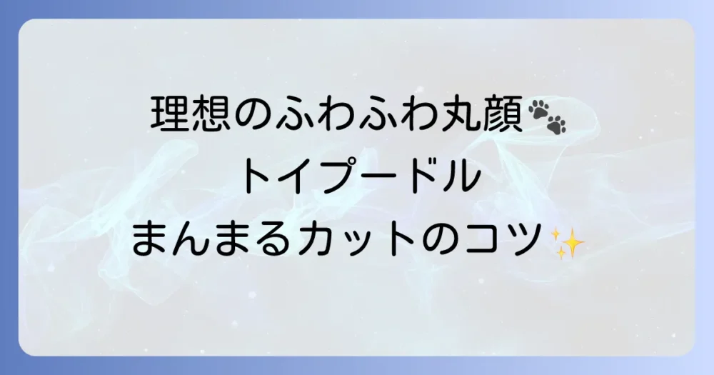 トイプードルのカットでまんまるな理想のふわふわスタイルを手に入れる方法