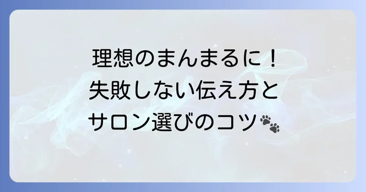 プロのトリマーに依頼する際のポイント