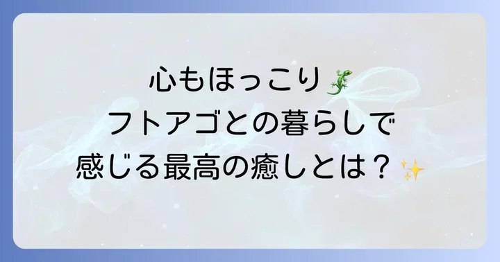フトアゴヒゲトカゲとの暮らしで感じる癒しと喜び