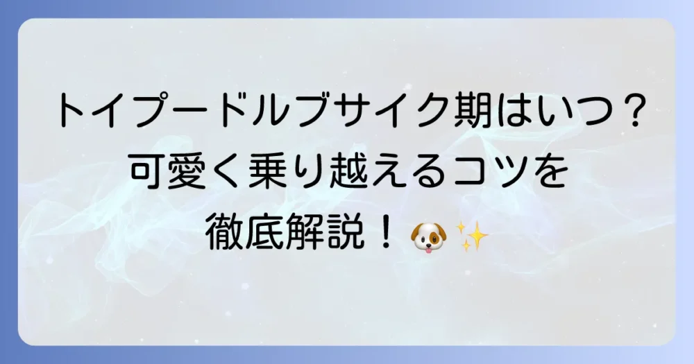 トイプードルのブサイク期はいつから？猿期を可愛く乗り越えるコツと成長の秘訣