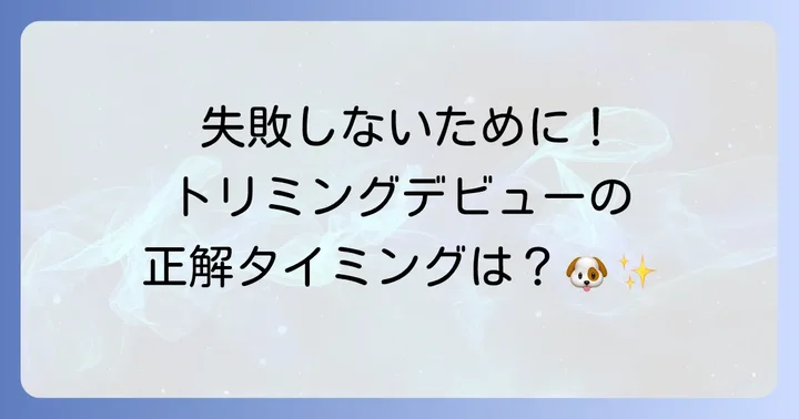 トイプードルの初めてのトリミングはいつから？適切な時期を知ろう