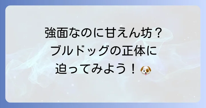 斗牛犬（ブルドッグ）とは？その歴史と独特の魅力