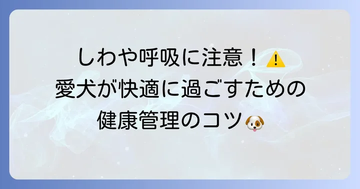 斗牛犬の健康管理と注意すべき病気