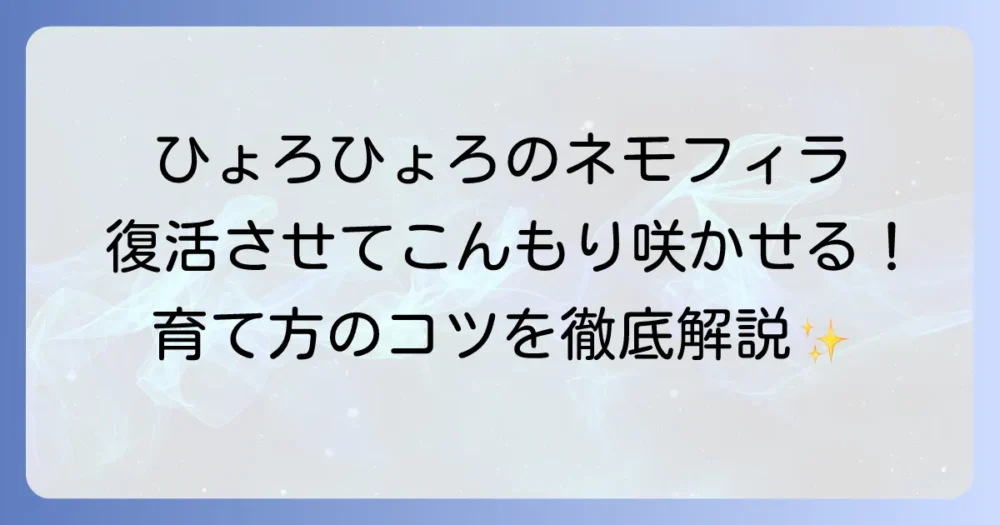 ネモフィラが徒長したらどうする？原因と対策、元気な育て方を徹底解説