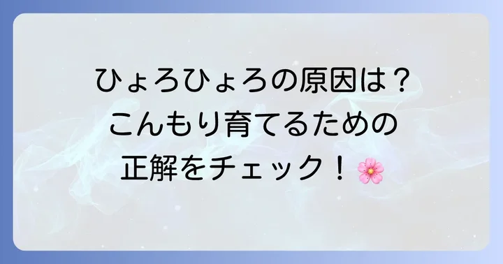 ネモフィラが徒長するってどういうこと？その原因を徹底解説