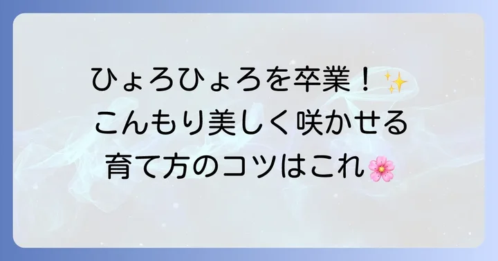 ネモフィラの徒長を防ぐための育て方のコツ