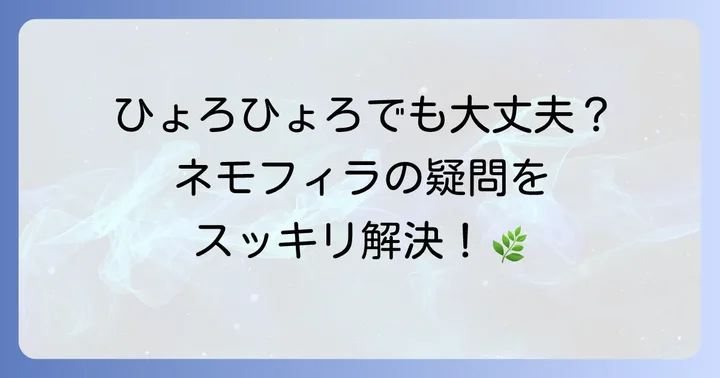 よくある質問