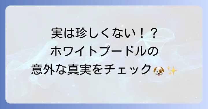トイプードル白は本当に珍しい？その真実を解説