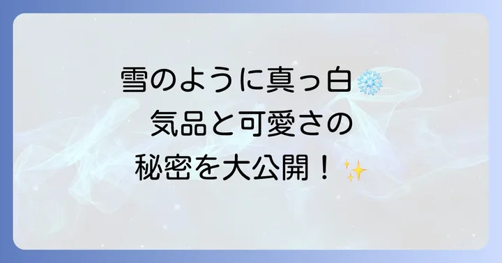 ホワイトプードルの魅力と特徴