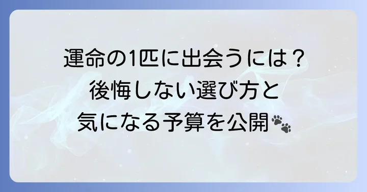 ホワイトプードルとの出会い方と価格相場