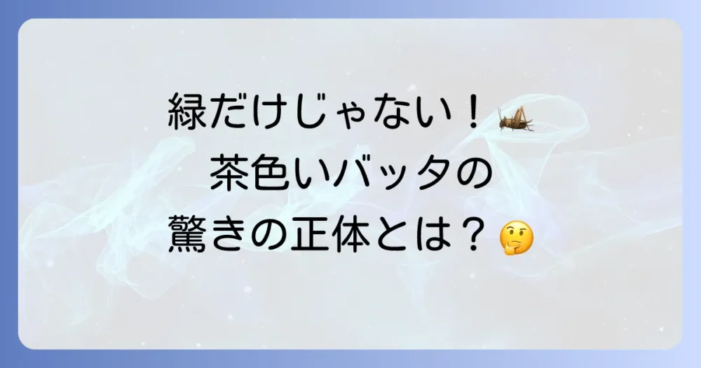 トノサマバッタが茶色いのはなぜ？色の秘密と生態を徹底解説