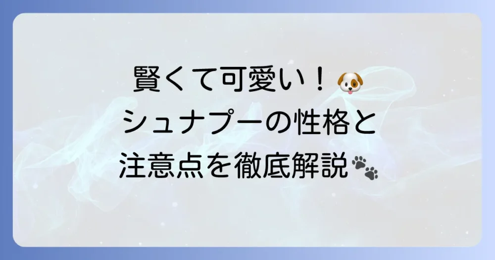 シュナプーの性格を徹底解説！飼いやすさや特徴からわかる魅力と注意点