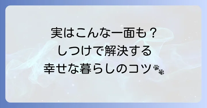シュナプーの性格に見られる注意点と対策