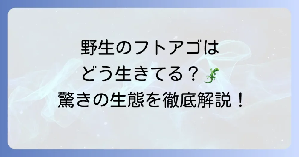 フトアゴヒゲトカゲの野生の姿を徹底解説！生息地から食性生態まで