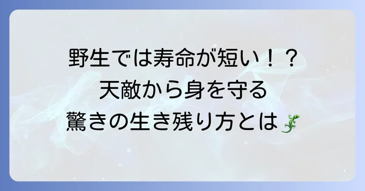 野生での寿命と直面する脅威