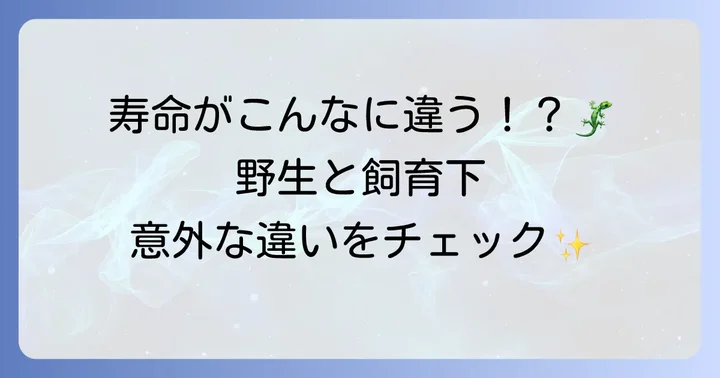 飼育下と野生のフトアゴヒゲトカゲの違い