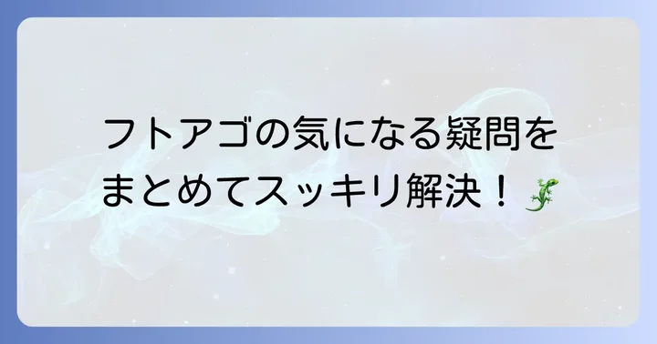 よくある質問