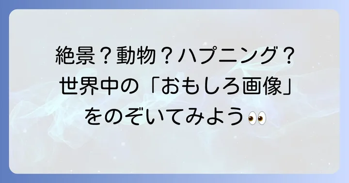芸能人以外にも面白い発見が！ストリートビューの楽しみ方
