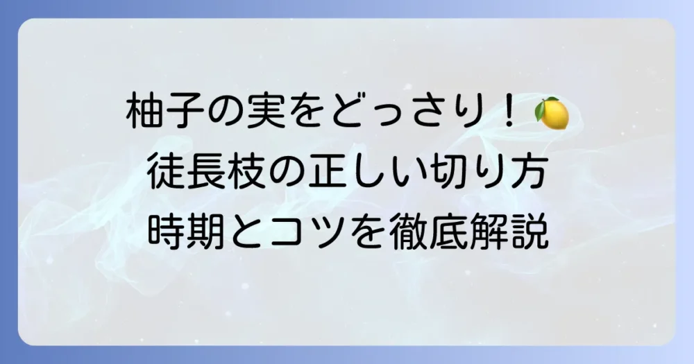 柚子の剪定における徒長枝の正しい切り方と時期を徹底解説！豊かな収穫を目指すコツ