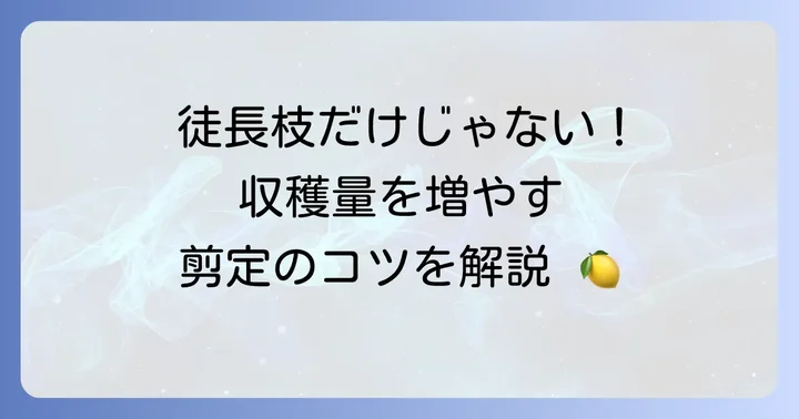 徒長枝以外の柚子の剪定で知っておきたいこと